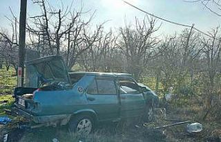 Kontrolden çıkan otomobil direğe çarpıp tarlaya...