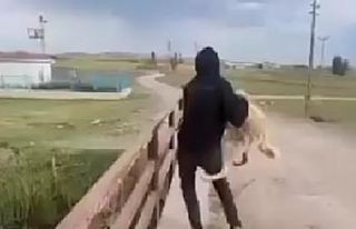 Köpeği köprüden suya atan 2 kişi hakkında işlem...