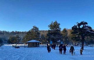 Kütahya’nın Topuk Yaylası doğaseverlerin akınına...