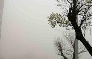 Manisa’da yoğun sis etkili oluyor