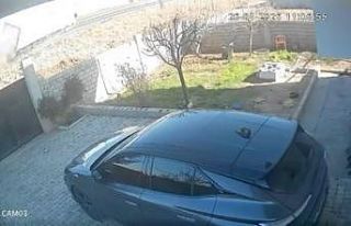 Mardin’de peynir yüklü tırın devrildiği kaza...