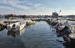 Marmara Denizi’nde müsilaj yeniden ortaya çıktı