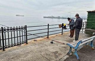Marmara’da oltalar suya, kediler gözlerini balığa...