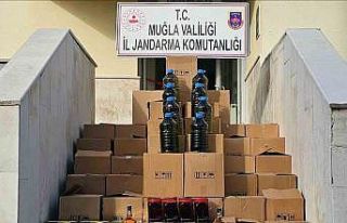 Milas’ta 1 milyon TL değerinde sahte zeytinyağı...