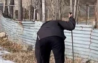 Minik Eslem’in ölümünden sonra köpekler toplanmaya...