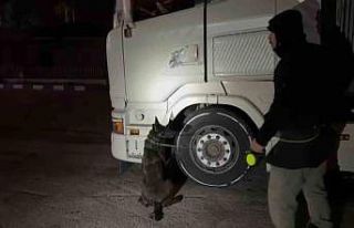 Montundan kokain çıktı, "Komşumun" dedi