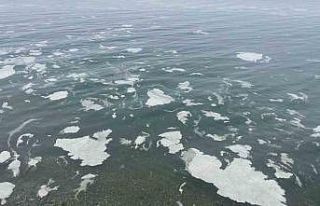 Mudanya’yı müsilaj sardı, deniz beyaz tabakayla...