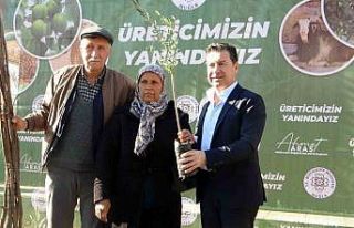 Muğla Büyükşehir Belediyesi 110 bin fidan dağıttı