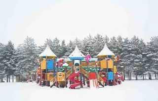 Muş’ta kar yağışı: 15 köy yolu ulaşıma kapandı