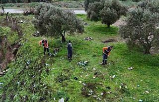 Nazilli Belediyesi’nden Bozyurt Mahallesi’nde...