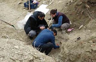 Öğretmenevi bahçesinden çıkan kemikler için...