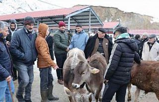 Oltu’daki hayvan pazarı yeniden açıldı