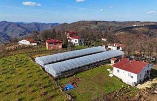 Ordu’da üreticilere sera naylonu desteği