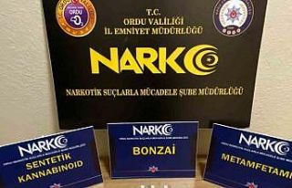 Ordu’da uyuşturucu operasyonlarında 2 tutuklama