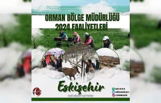 Orman Bölge Müdürlüğü orman yangınlarıyla...