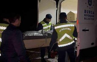 Ormandaki vahşetin gizemi çözüldü