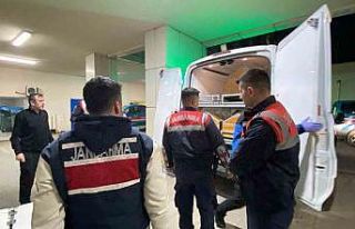 Ormanlık alanda korkunç cinayet, dili ve kulakları...