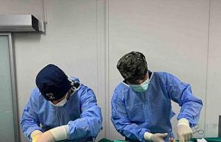 Osmangazi’de kedi popülasyonu kontrol altında