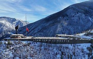 Otel yangını faciası nedeniyle Artvin’de dev...