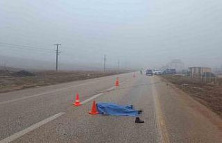 Otomobilin çarptığı adam hayatını kaybetti