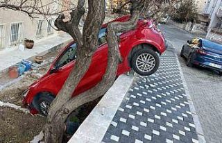 Otomobilini park ederken bahçeye düştü: 1 yaralı