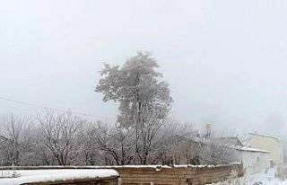 Özalp dondu, ağaçlar kırağı tuttu