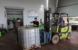 Park ve bahçelerdeki zeytinler ihtiyaç sahipleri...