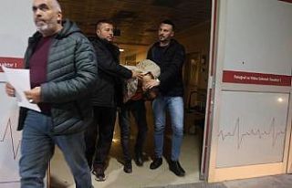 "Pes" dedirten hırsızlık: Parasını...