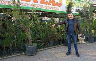 Peyzajcıdan dinlene dinlene bitkileri çaldı