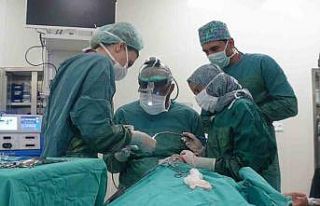 Prof. Dr. Abdulvahap Akyiğit: “Baş ve boyun kanserinde...