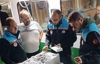 Reis 48 Kontrol Gemisi hamsi denetiminde