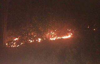 Rize’de orman yangınını söndürme çalışmaları...