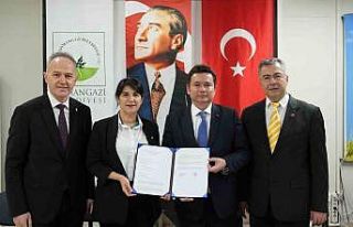 Sahiplenilen köpeklerin ilk aşısı ve muayenesi...