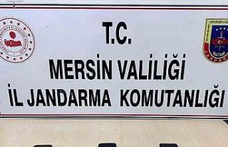 Sahte ilan vererek vatandaşları dolandıran 1 şüpheli...
