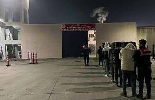 Sakarya’da hayvan hırsızlığı yapan çeteye...