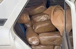 Samsun’da 250 kilo kaçak tütün ele geçirildi