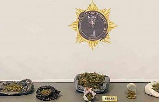 Samsun’da 500 gram esrarla yakalanan şahıs gözaltına...