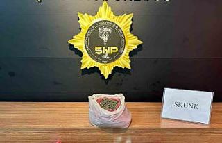 Şanlıurfa’da 2 kilo skunk ele geçirildi: 2 tutuklama
