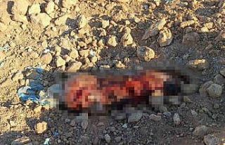 Şanlıurfa’da toprağa gömülü ceset bulundu