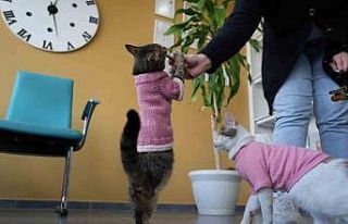 Sevginin ve azmin simgesi: Üç bacaklı “Tripot”