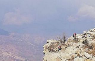 Siirt’te 4 gündür mahsur kalan 3 keçi kurtarıldı