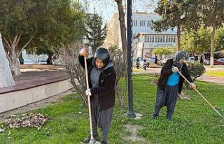 Silifke’de park ve yeşil alanlar bakıma alındı