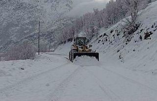 Şırnak’ta kapalı 9 köy yolu ulaşıma açıldı