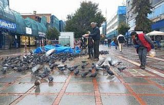 Soğukta aç kalan güvercinlerin yardımına yetiştiler