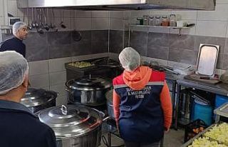 Söke’de 1 yılda 2 bin gıda işletmeleri denetlendi