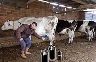 Süt üreticilerinin en önemli sorunu olan, mastitiste...