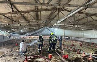 Tarsus’ta tavuk üretim merkezinde yangın