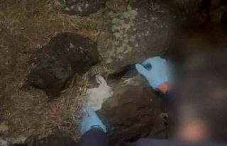 Taşın altından bin 67 adet uyuşturucu hap çıktı