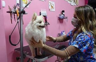 Tavşanlı’da evcil hayvan sahipleri için ilk pet...