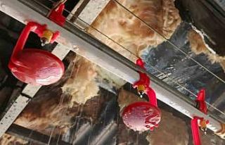 Tavuk çiftliğinde çıkan yangın itfaiyenin müdahalesiyle...